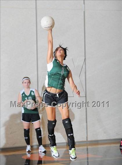 Thumbnail 1 in Siren vs. Webster photogallery.