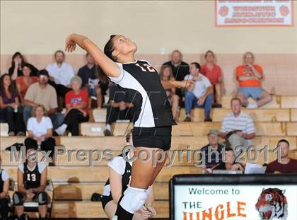 Thumbnail 1 in Siren vs. Webster photogallery.