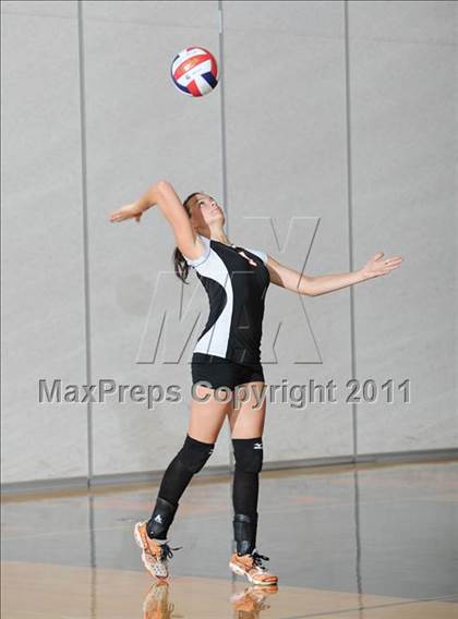 Thumbnail 2 in Siren vs. Webster photogallery.