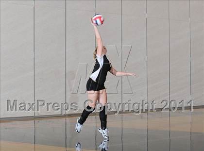 Thumbnail 3 in Siren vs. Webster photogallery.