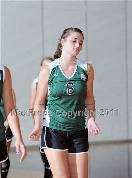 Thumbnail 1 in Siren vs. Webster photogallery.