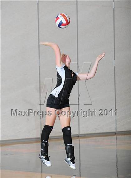 Thumbnail 2 in Siren vs. Webster photogallery.