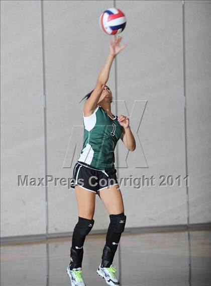 Thumbnail 3 in Siren vs. Webster photogallery.