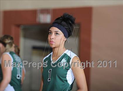 Thumbnail 2 in Siren vs. Webster photogallery.