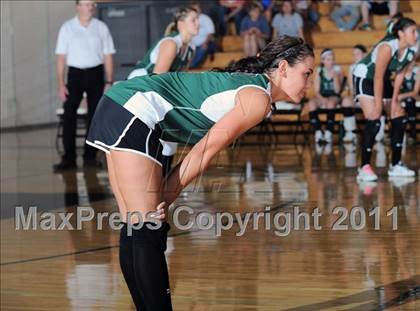 Thumbnail 3 in Siren vs. Webster photogallery.