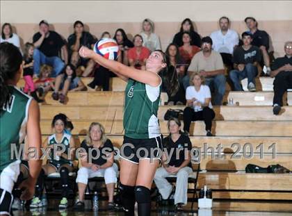 Thumbnail 1 in Siren vs. Webster photogallery.