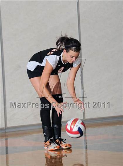 Thumbnail 2 in Siren vs. Webster photogallery.