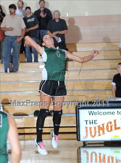 Thumbnail 1 in Siren vs. Webster photogallery.