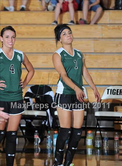 Thumbnail 2 in Siren vs. Webster photogallery.