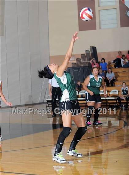 Thumbnail 1 in Siren vs. Webster photogallery.