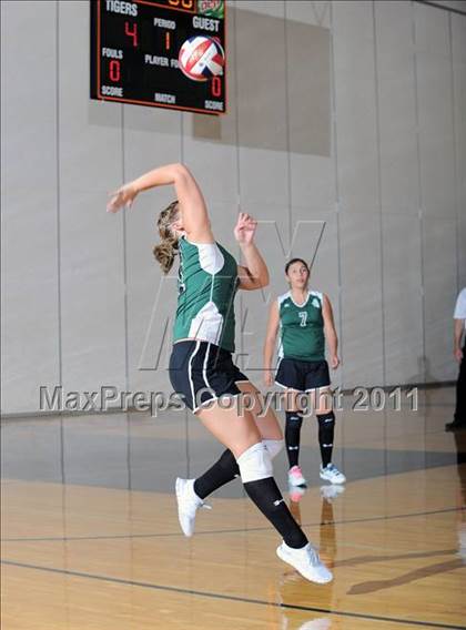 Thumbnail 1 in Siren vs. Webster photogallery.