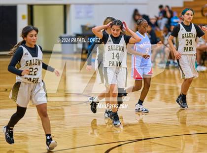 Thumbnail 3 in Madison @ Galena Park photogallery.