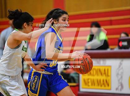 Thumbnail 1 in El Cerrito vs. Pinole Valley (Cardinal Newman Classic) photogallery.