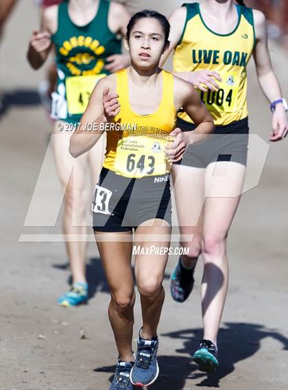Thumbnail 1 in CIF State Cross Country Championships (Girls D3 Race) photogallery.