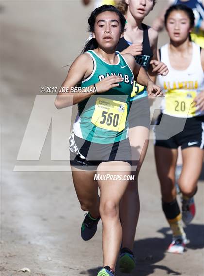 Thumbnail 3 in CIF State Cross Country Championships (Girls D3 Race) photogallery.