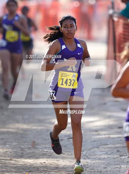Thumbnail 1 in CIF State Cross Country Championships (Girls D3 Race) photogallery.