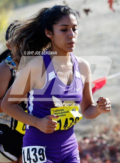 Thumbnail 1 in CIF State Cross Country Championships (Girls D3 Race) photogallery.