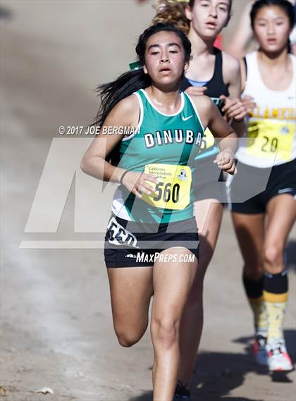 Thumbnail 1 in CIF State Cross Country Championships (Girls D3 Race) photogallery.