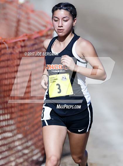 Thumbnail 3 in CIF State Cross Country Championships (Girls D3 Race) photogallery.