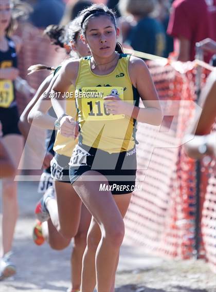Thumbnail 1 in CIF State Cross Country Championships (Girls D3 Race) photogallery.