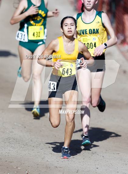 Thumbnail 3 in CIF State Cross Country Championships (Girls D3 Race) photogallery.