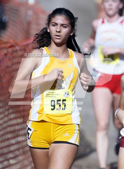 Thumbnail 3 in CIF State Cross Country Championships (Girls D3 Race) photogallery.