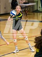 Photo from the gallery "Rio Americano @ Christian Brothers"