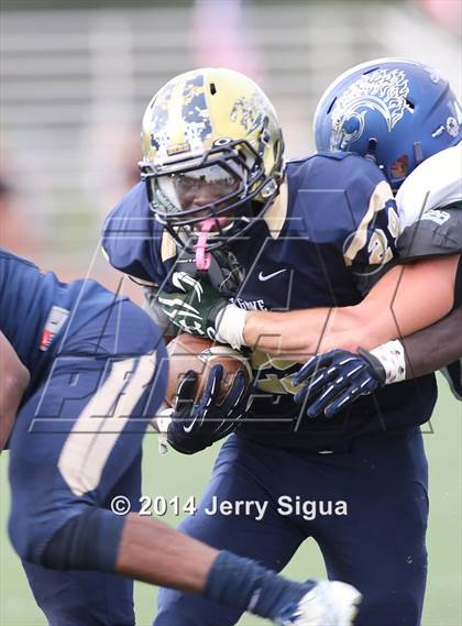 Thumbnail 3 in Elk Grove vs. Damonte Ranch (2014 Honor Bowl - NorCal) photogallery.