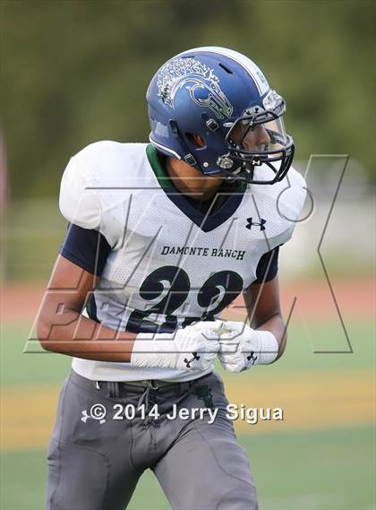 Thumbnail 2 in Elk Grove vs. Damonte Ranch (2014 Honor Bowl - NorCal) photogallery.