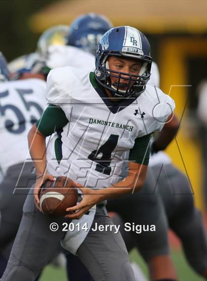 Thumbnail 3 in Elk Grove vs. Damonte Ranch (2014 Honor Bowl - NorCal) photogallery.