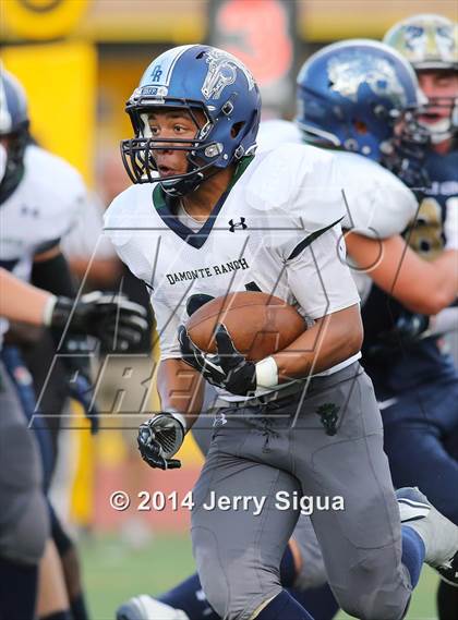 Thumbnail 2 in Elk Grove vs. Damonte Ranch (2014 Honor Bowl - NorCal) photogallery.