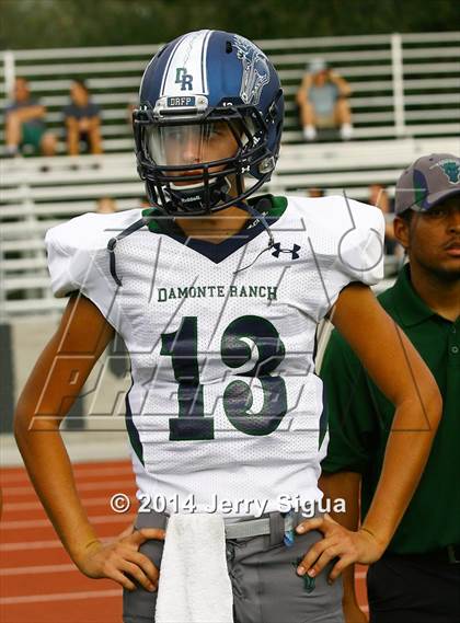 Thumbnail 1 in Elk Grove vs. Damonte Ranch (2014 Honor Bowl - NorCal) photogallery.