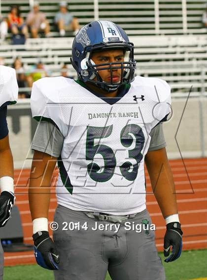 Thumbnail 1 in Elk Grove vs. Damonte Ranch (2014 Honor Bowl - NorCal) photogallery.