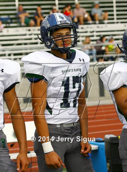 Thumbnail 2 in Elk Grove vs. Damonte Ranch (2014 Honor Bowl - NorCal) photogallery.