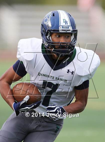 Thumbnail 3 in Elk Grove vs. Damonte Ranch (2014 Honor Bowl - NorCal) photogallery.