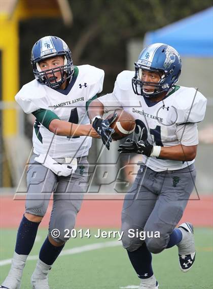 Thumbnail 3 in Elk Grove vs. Damonte Ranch (2014 Honor Bowl - NorCal) photogallery.