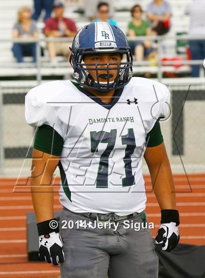 Thumbnail 3 in Elk Grove vs. Damonte Ranch (2014 Honor Bowl - NorCal) photogallery.