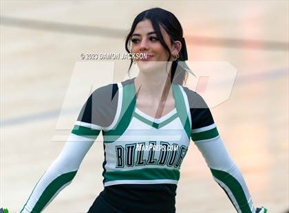 Thumbnail 3 in Pahrump Valley @ Virgin Valley photogallery.