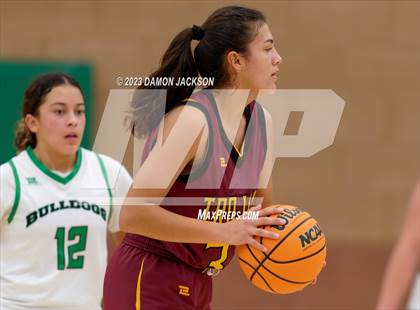 Thumbnail 3 in Pahrump Valley @ Virgin Valley photogallery.