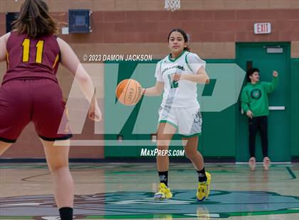Thumbnail 3 in Pahrump Valley @ Virgin Valley photogallery.