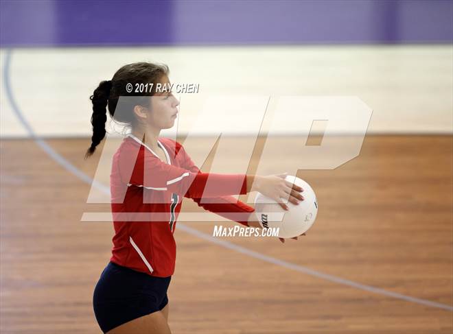 null - Photo 41