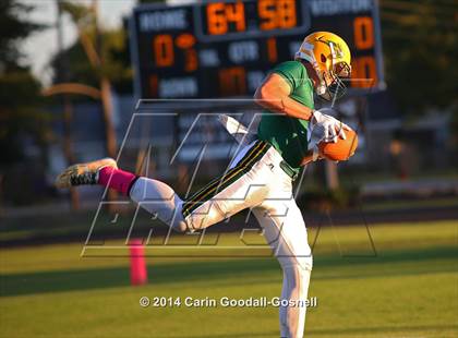 Thumbnail 2 in White Oak @ Havelock photogallery.
