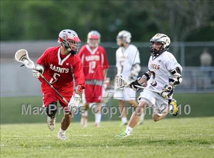 Thumbnail 3 in St. Bernard @ Ledyard photogallery.