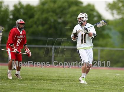 Thumbnail 3 in St. Bernard @ Ledyard photogallery.