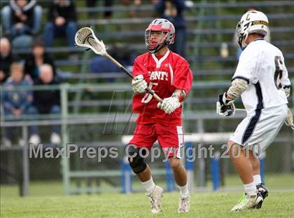 Thumbnail 3 in St. Bernard @ Ledyard photogallery.