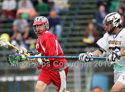Thumbnail 1 in St. Bernard @ Ledyard photogallery.