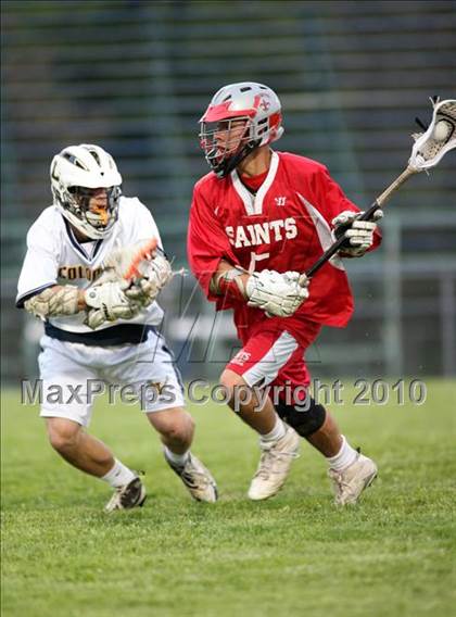 Thumbnail 3 in St. Bernard @ Ledyard photogallery.