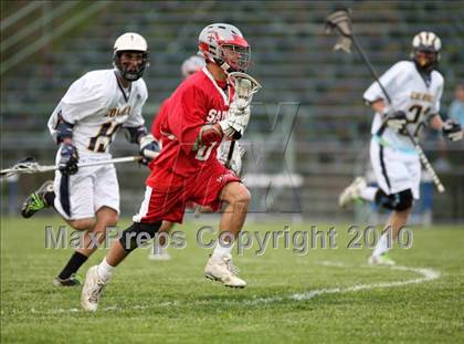 Thumbnail 1 in St. Bernard @ Ledyard photogallery.