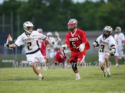 Thumbnail 1 in St. Bernard @ Ledyard photogallery.