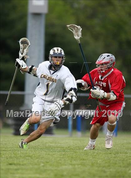 Thumbnail 3 in St. Bernard @ Ledyard photogallery.